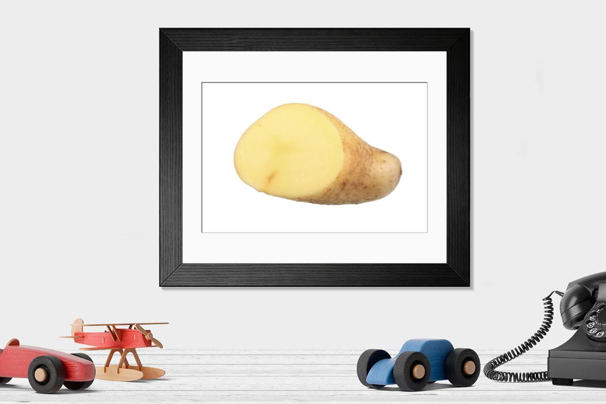 product preview 0