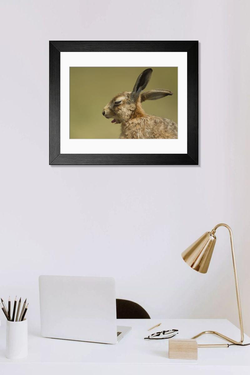 Shown hanging in a room: Modern 14"x12" (36x31cm)