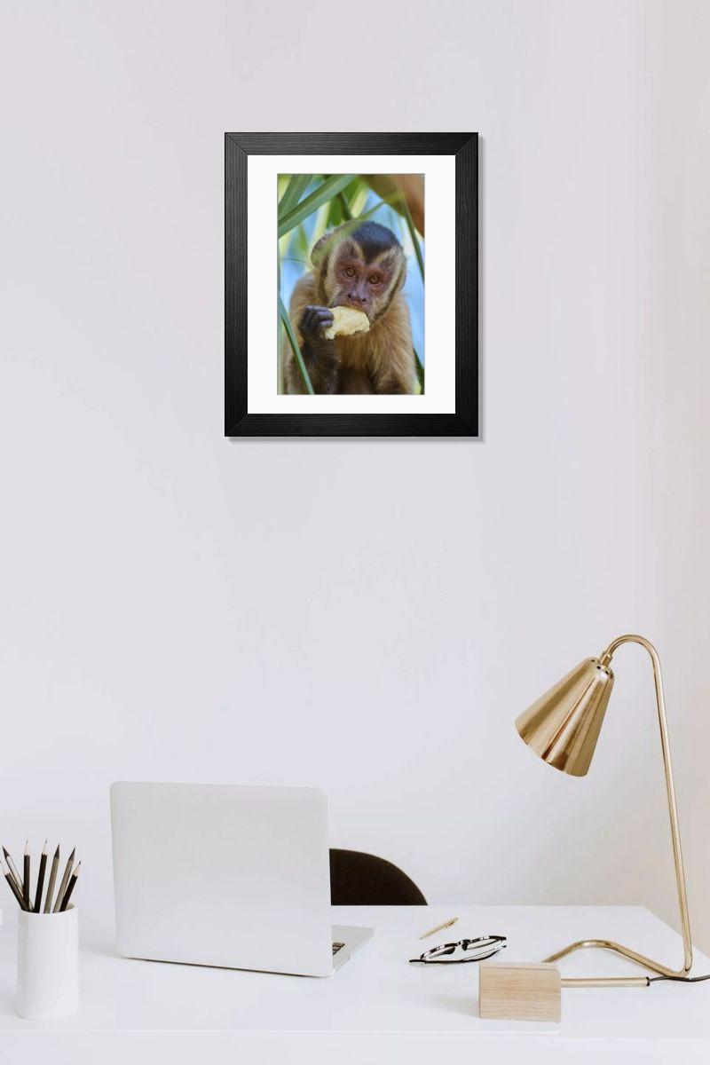 product preview 0