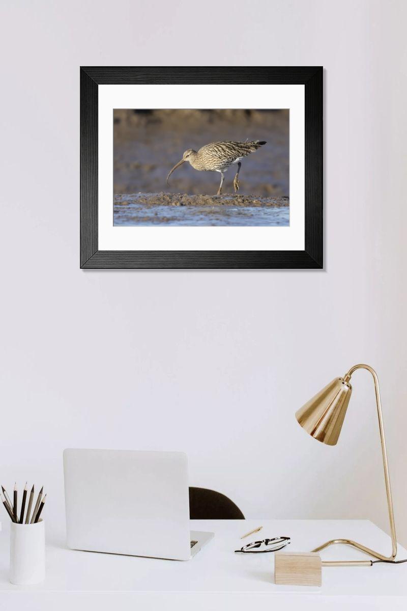 Shown hanging in a room: Modern 14"x12" (36x31cm)