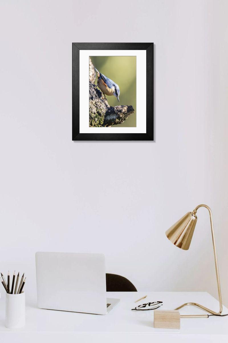 product preview 0