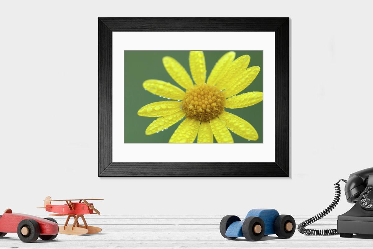 Shown hanging in a room: Modern 14"x12" (36x31cm)