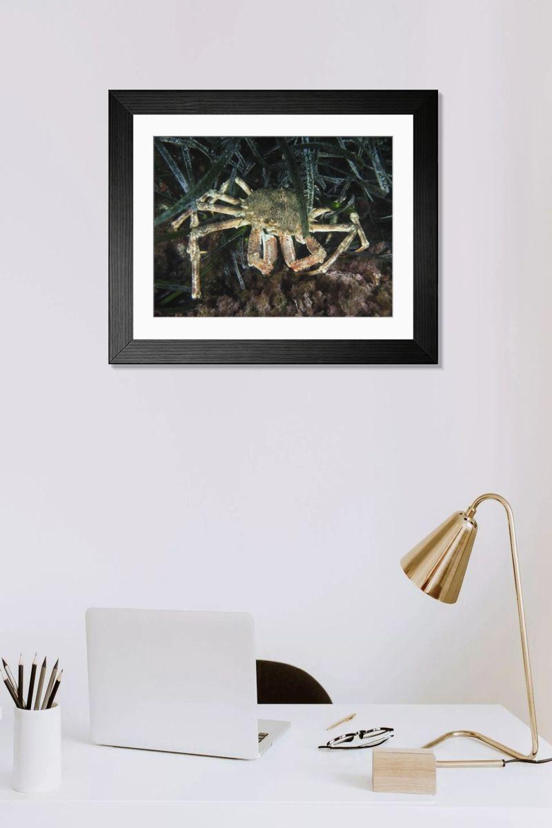 Shown hanging in a room: Modern 14"x12" (36x31cm)