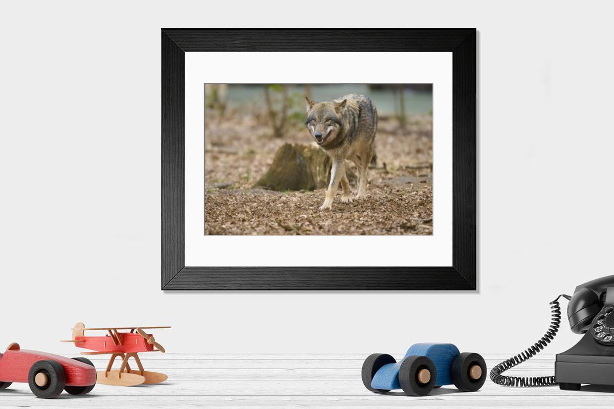 product preview 0