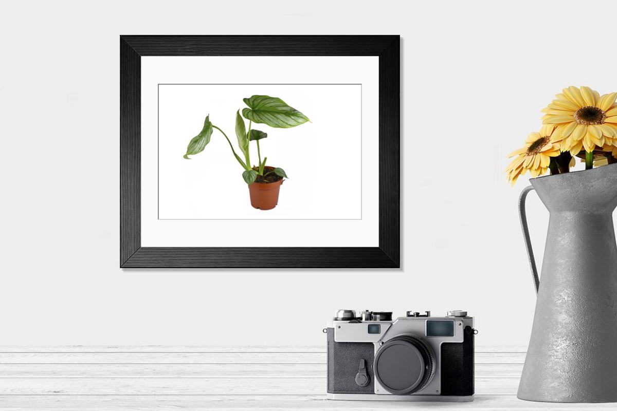 product preview 0