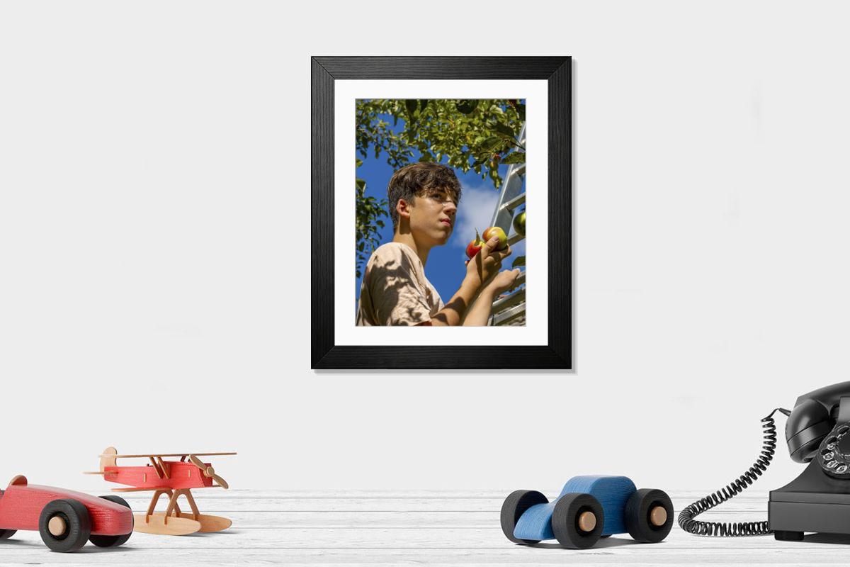 product preview 0