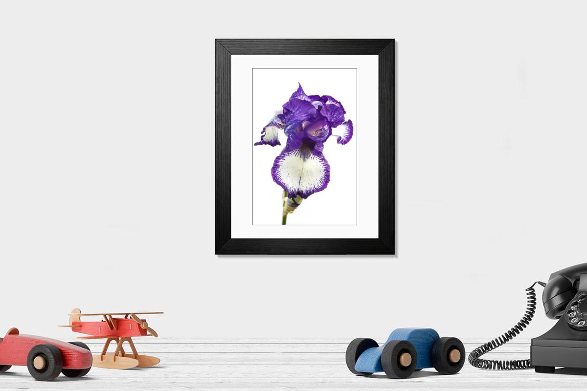 product preview 0
