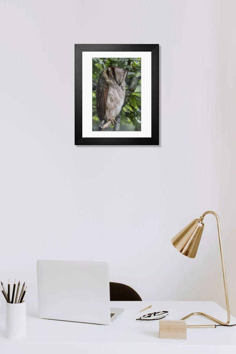 Shown hanging in a room: Modern 14"x12" (36x31cm)