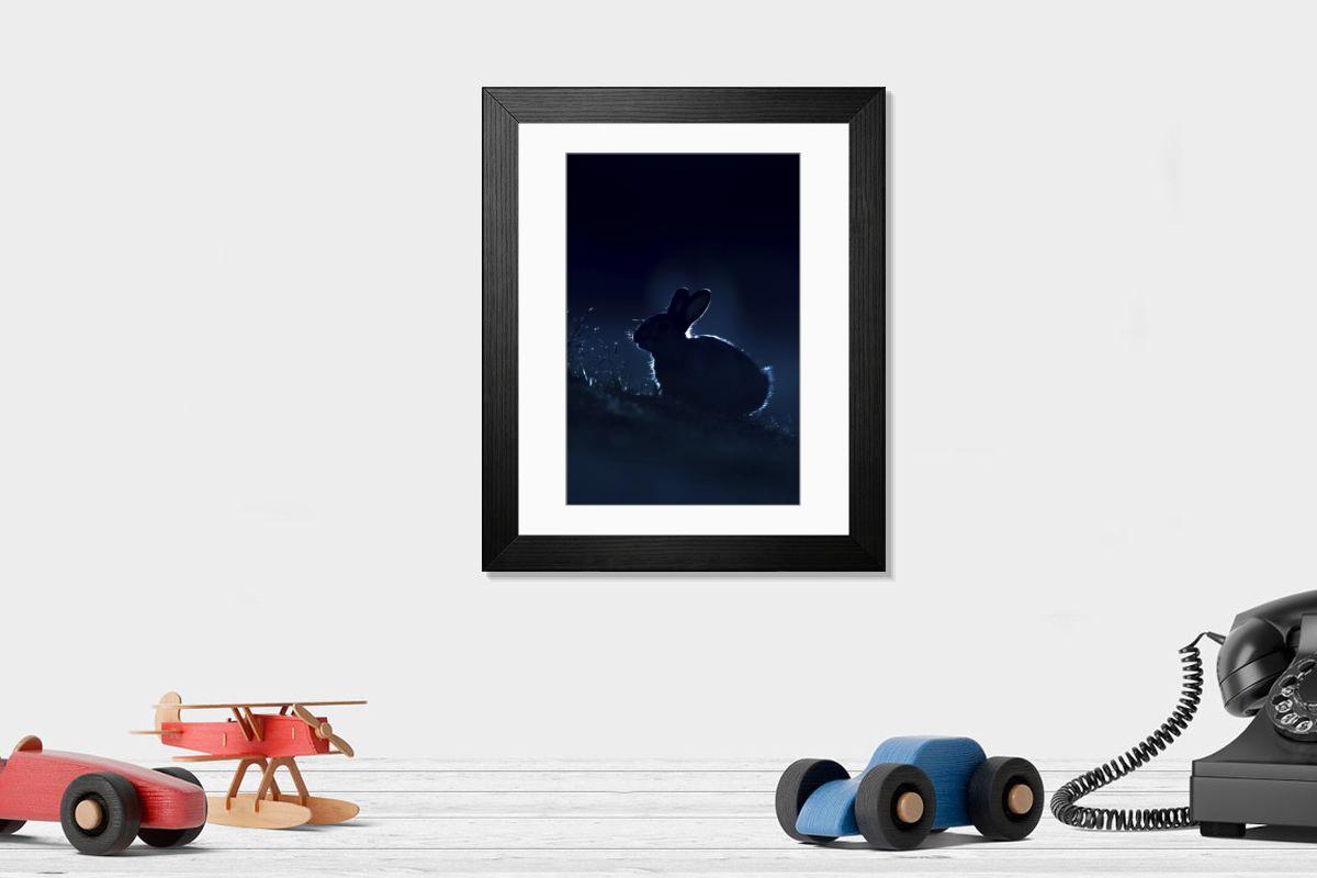 product preview 0