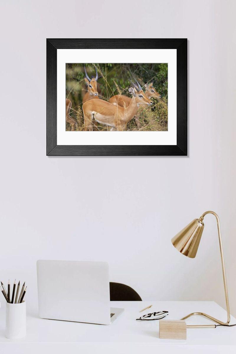 Shown hanging in a room: Modern 14"x12" (36x31cm)