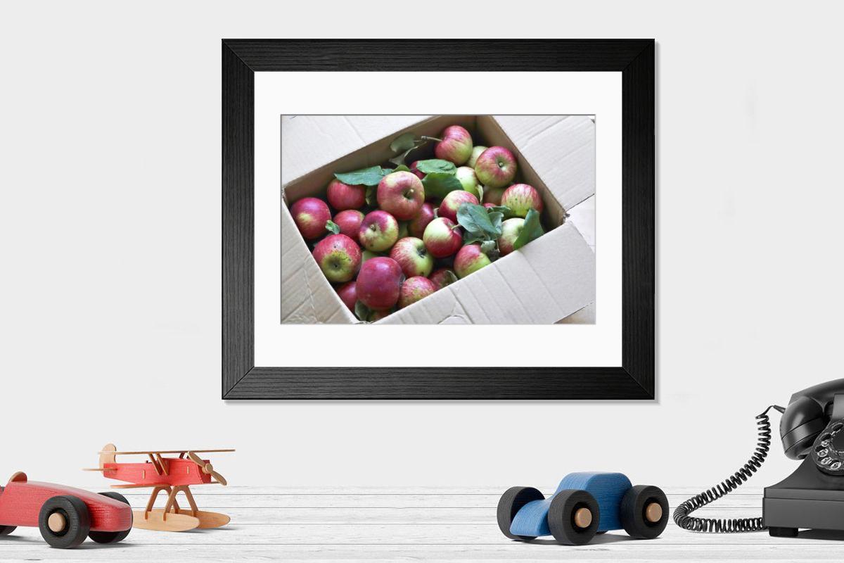 product preview 0