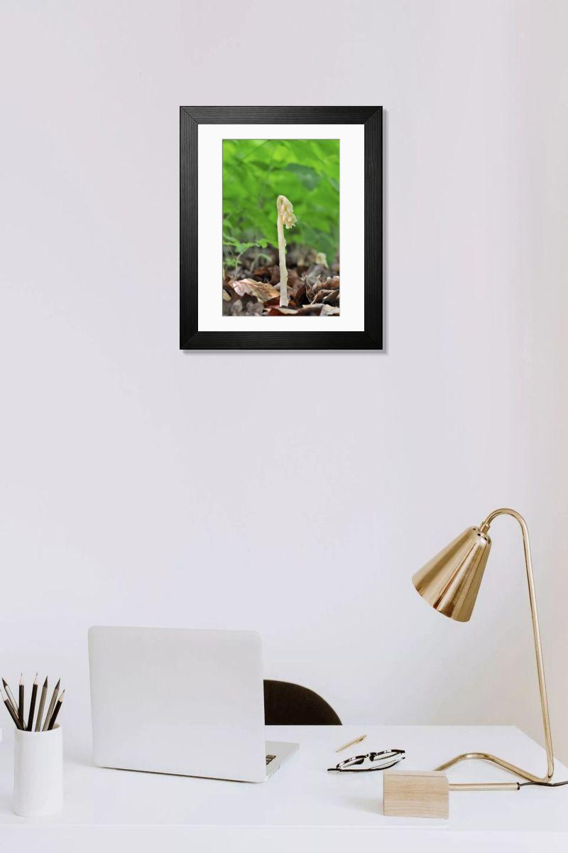 Shown hanging in a room: Modern 14"x12" (36x31cm)