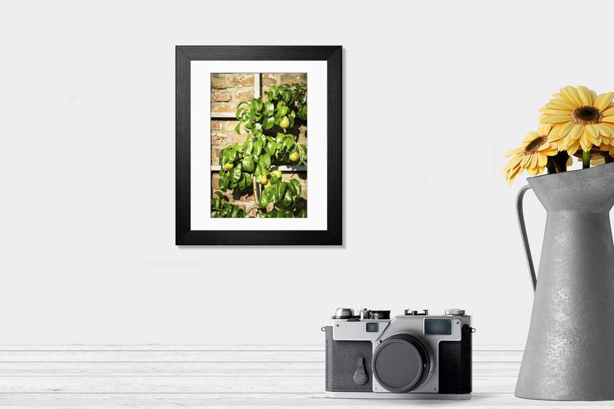 product preview 0