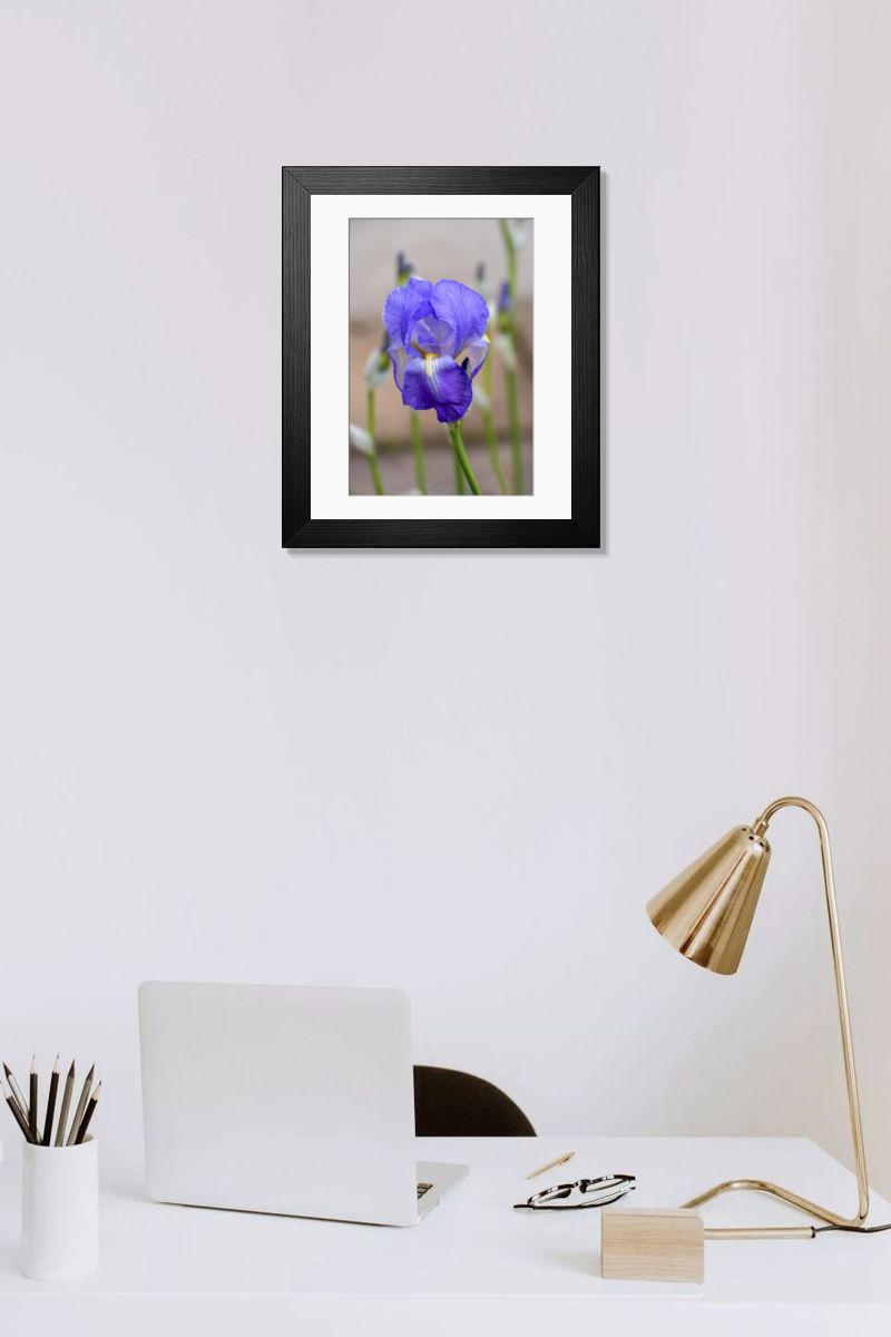 product preview 0