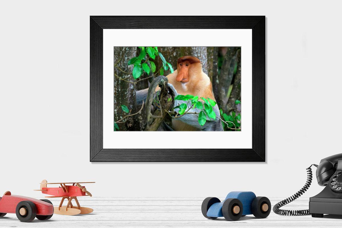 product preview 0