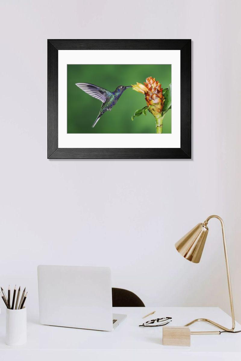Shown hanging in a room: Modern 14"x12" (36x31cm)