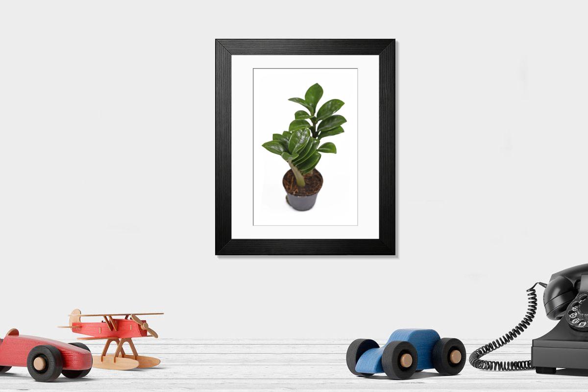 product preview 0