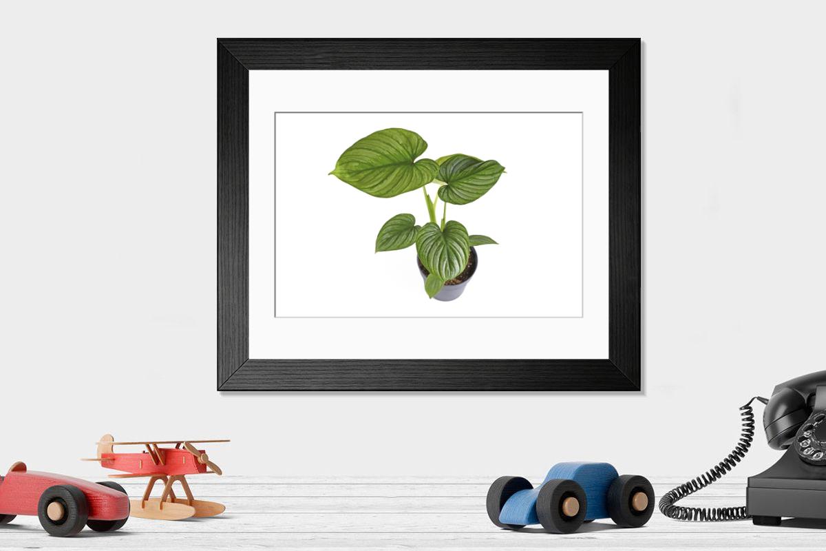 product preview 0