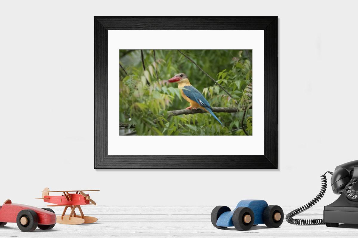 Shown hanging in a room: Modern 14"x12" (36x31cm)