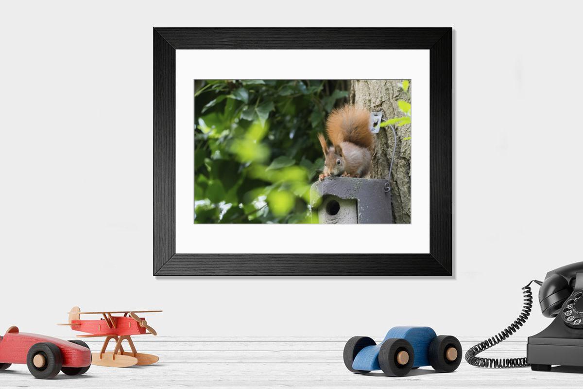 product preview 0