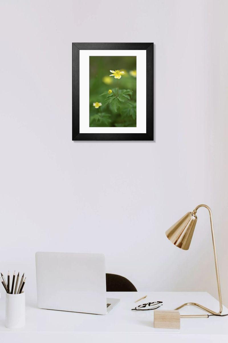 Shown hanging in a room: Modern 14"x12" (36x31cm)
