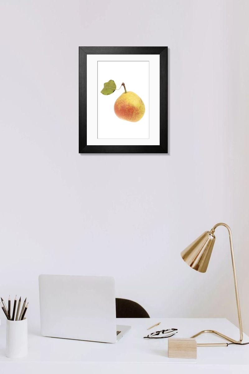 product preview 0