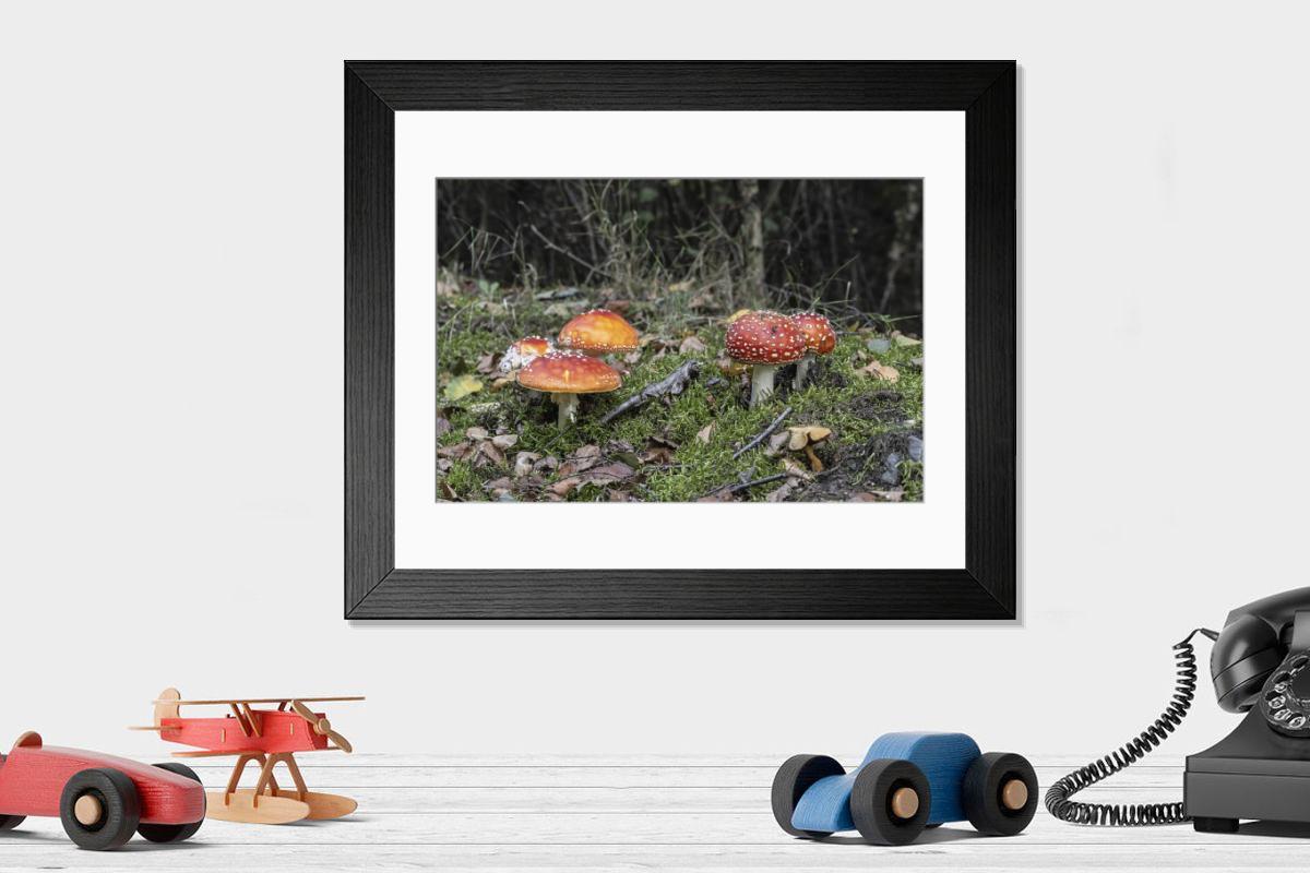 product preview 0