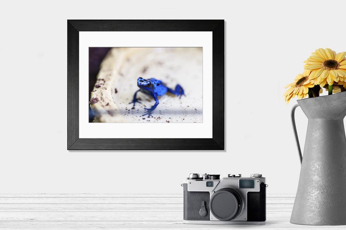 product preview 0