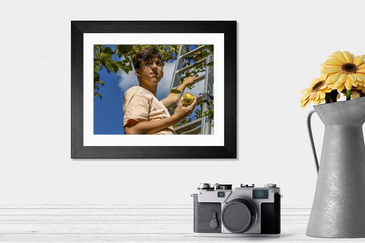 product preview 0