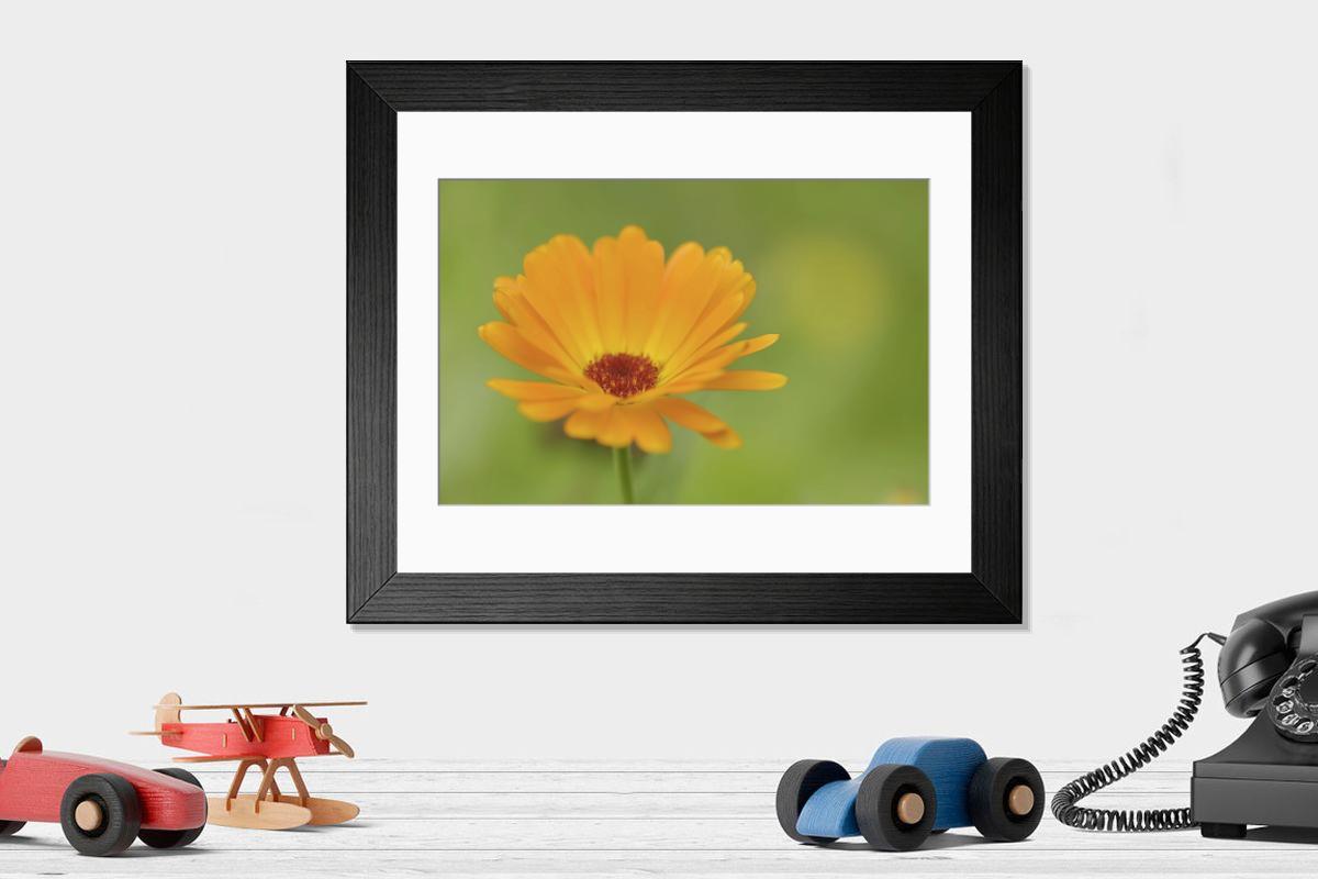 Shown hanging in a room: Modern 14"x12" (36x31cm)