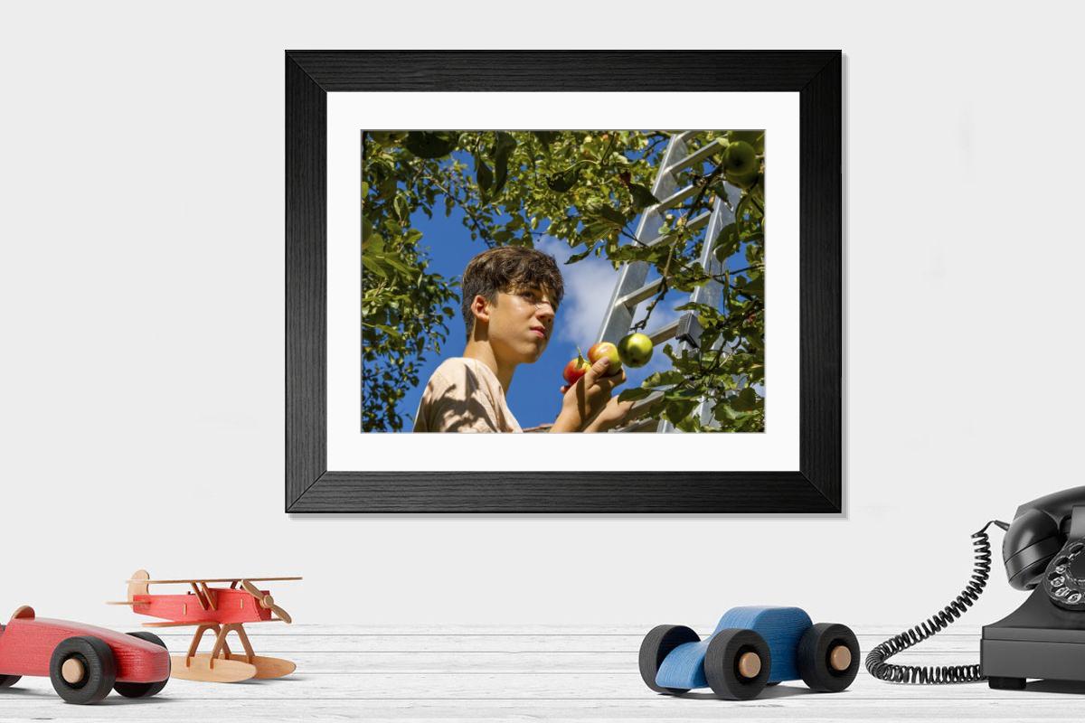 product preview 0