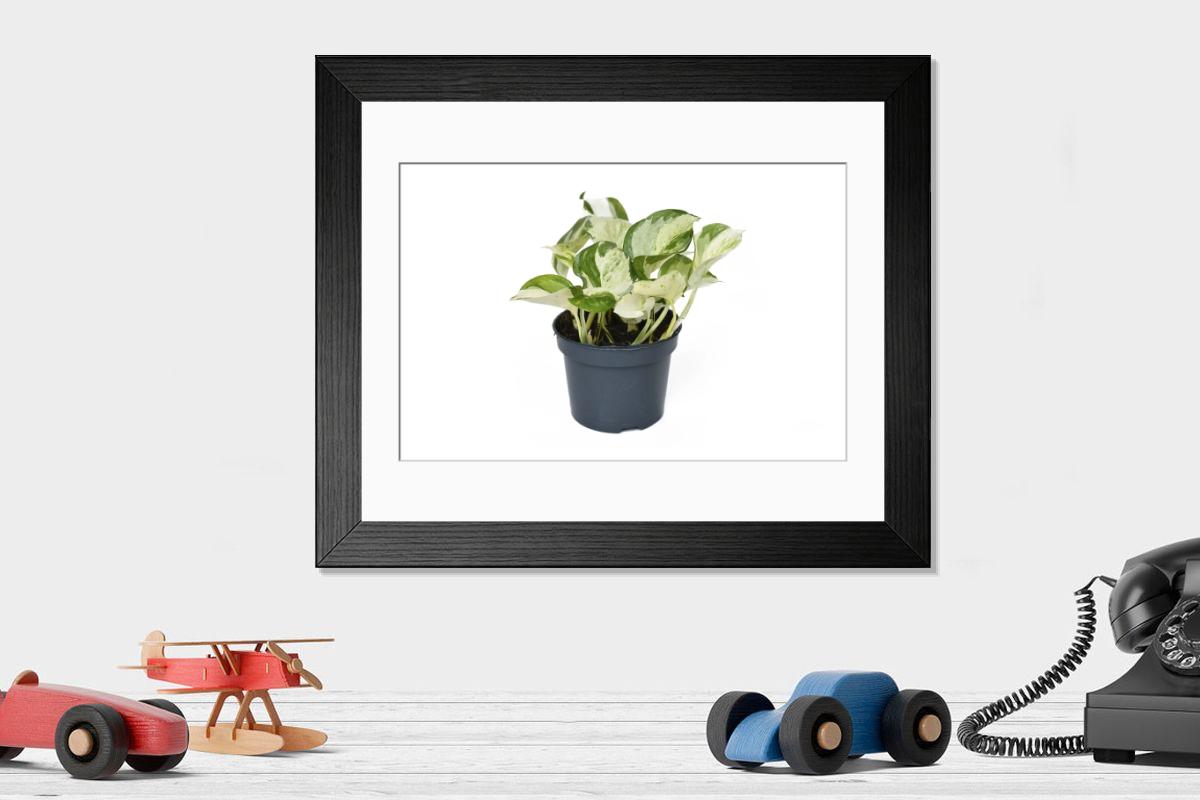 product preview 0