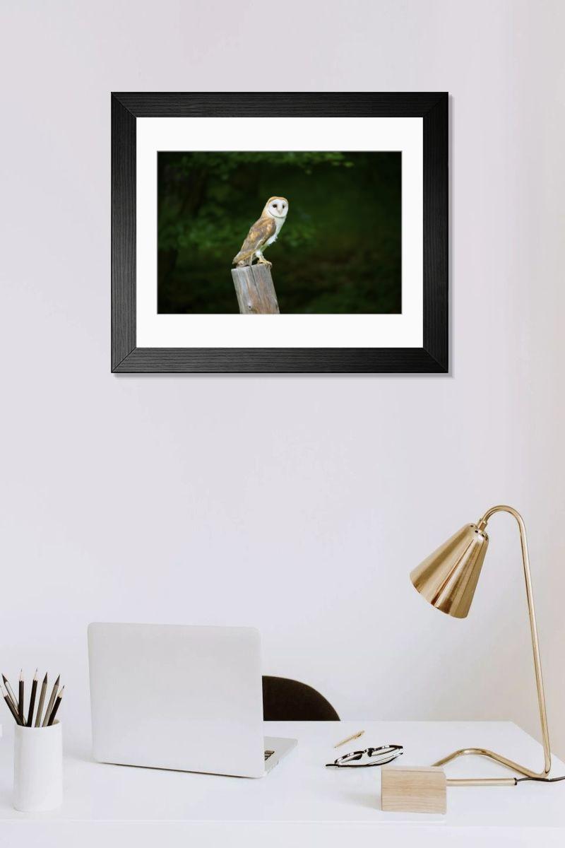 product preview 0