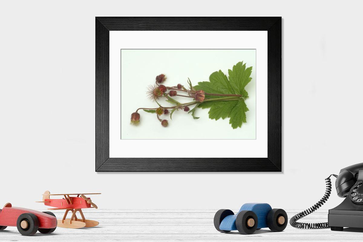 Shown hanging in a room: Modern 14"x12" (36x31cm)