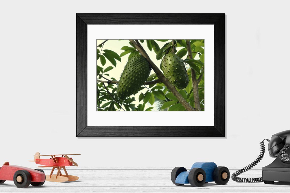 product preview 0