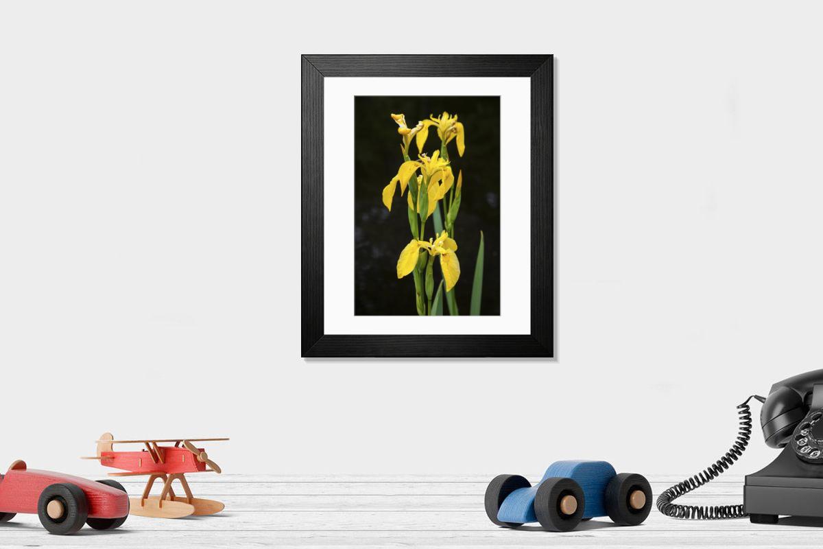 product preview 0