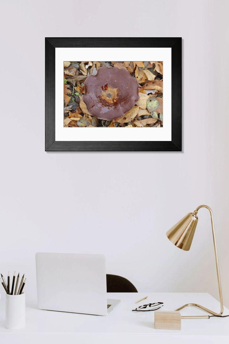 Shown hanging in a room: Modern 14"x12" (36x31cm)