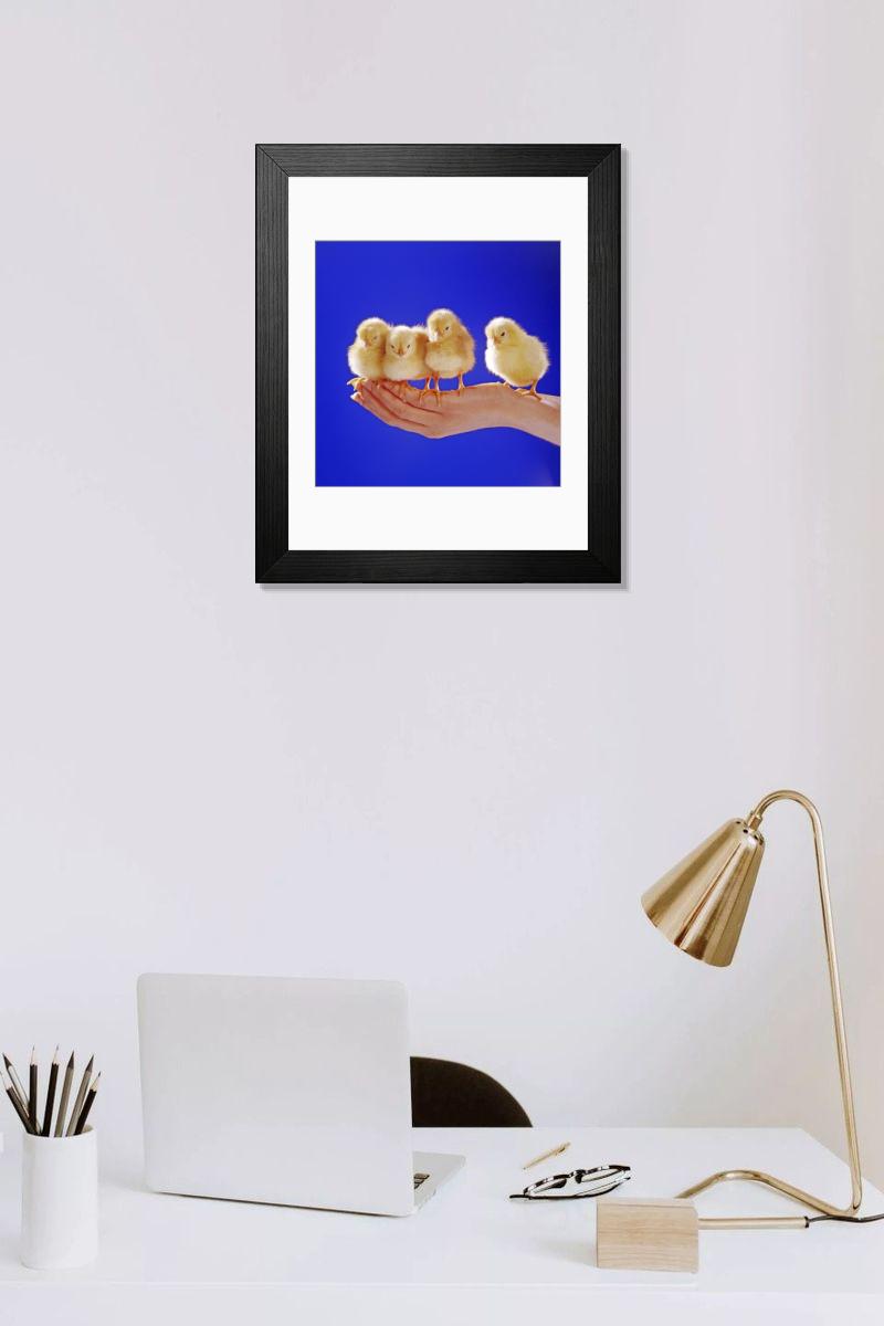 product preview 0