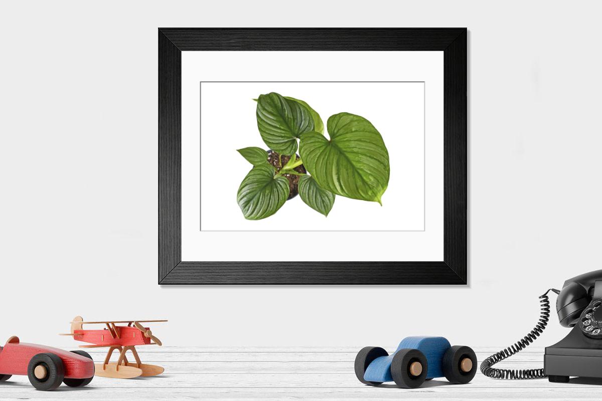 product preview 0