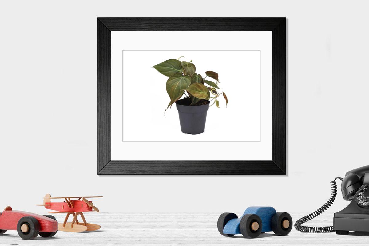 product preview 0