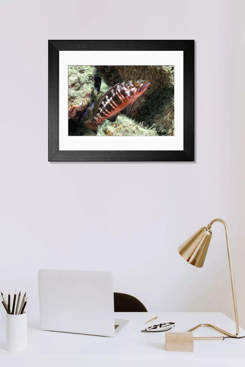 Shown hanging in a room: Modern 14"x12" (36x31cm)