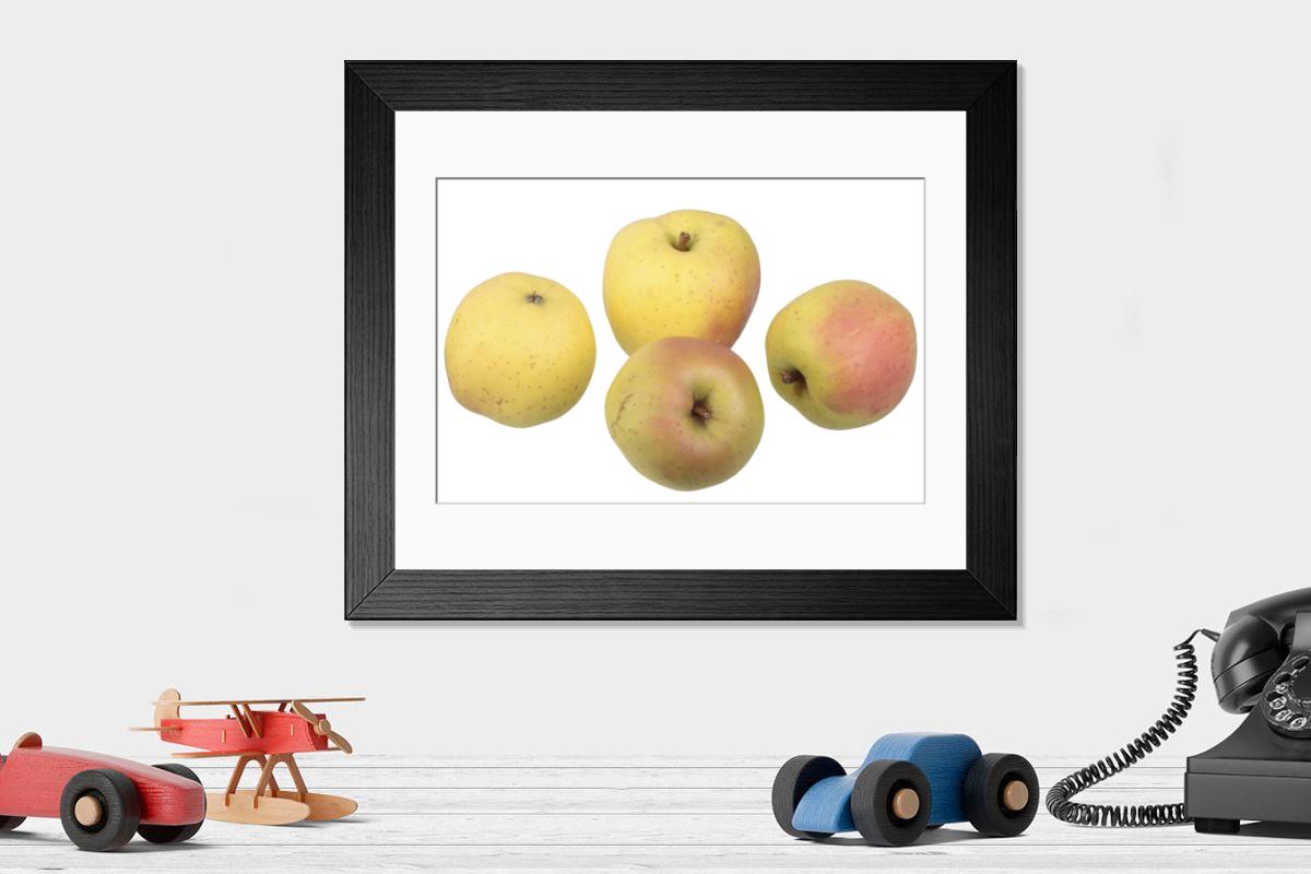 product preview 0