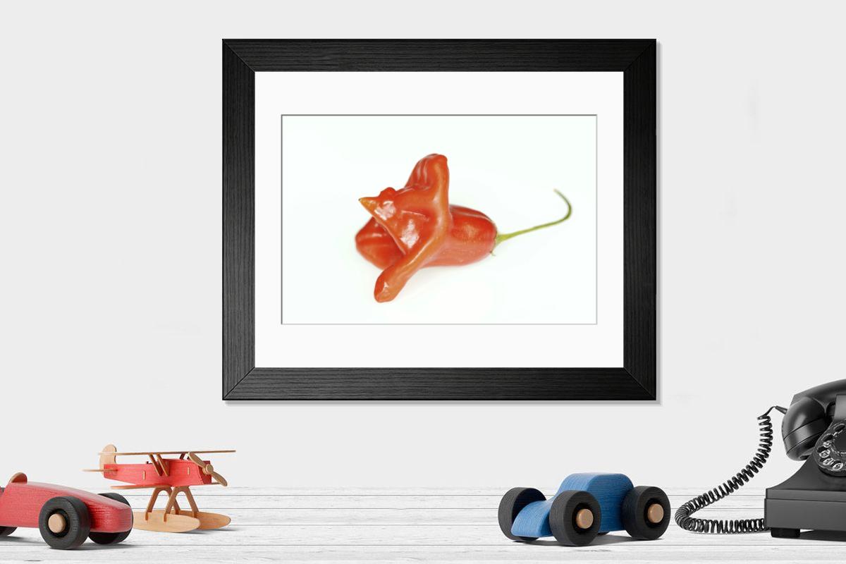 product preview 0