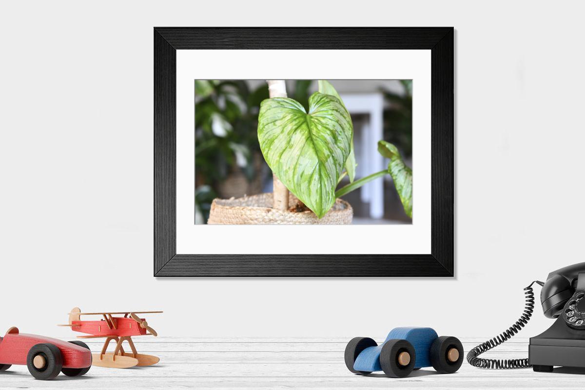 product preview 0