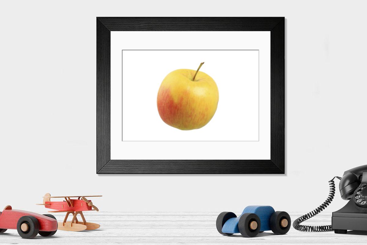 product preview 0