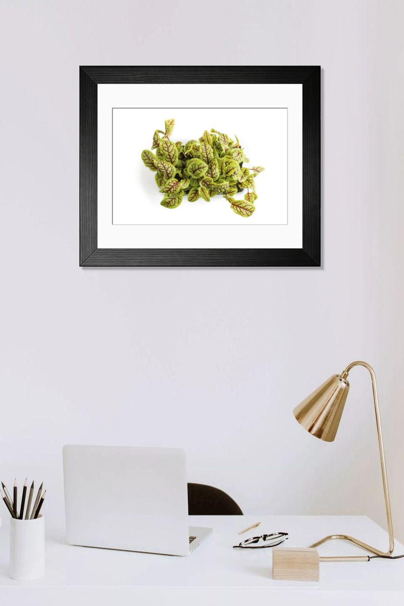 product preview 0
