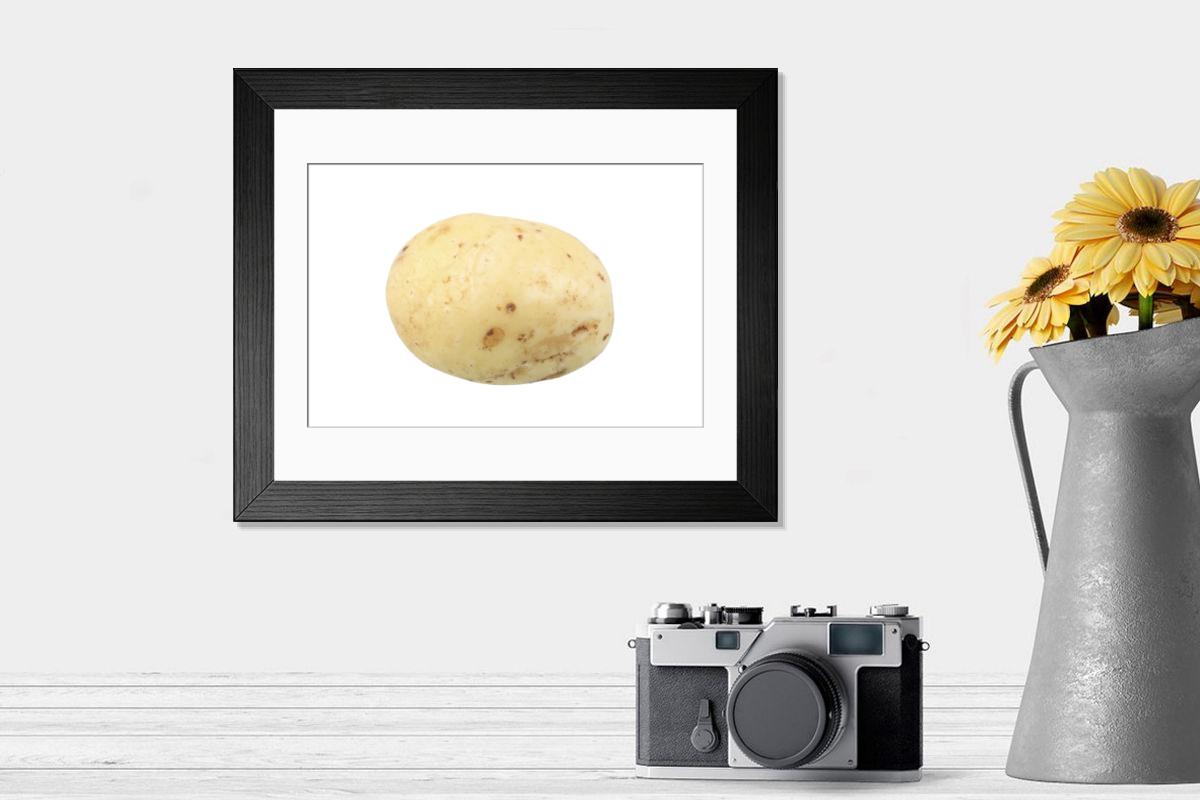 product preview 0