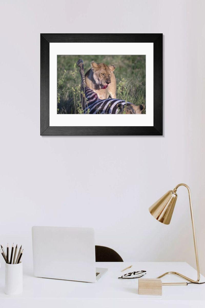 product preview 0