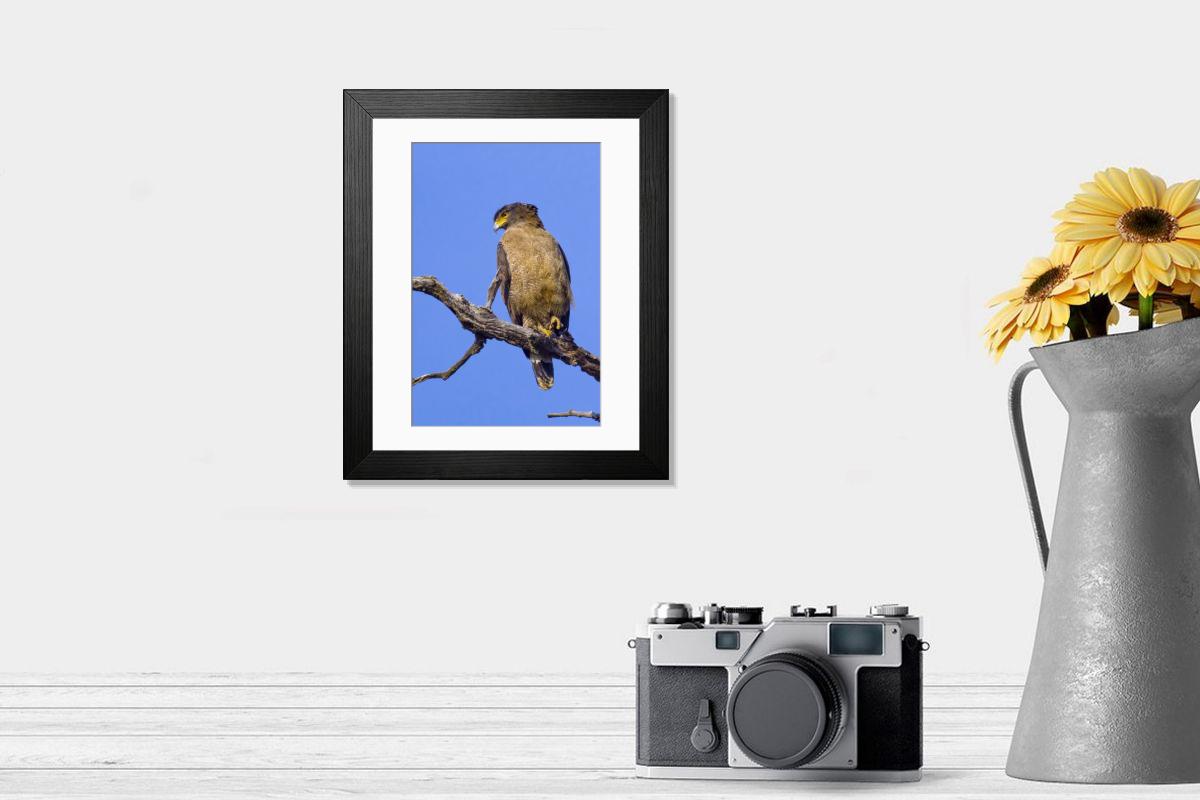 Shown hanging in a room: Modern 14"x12" (36x31cm)
