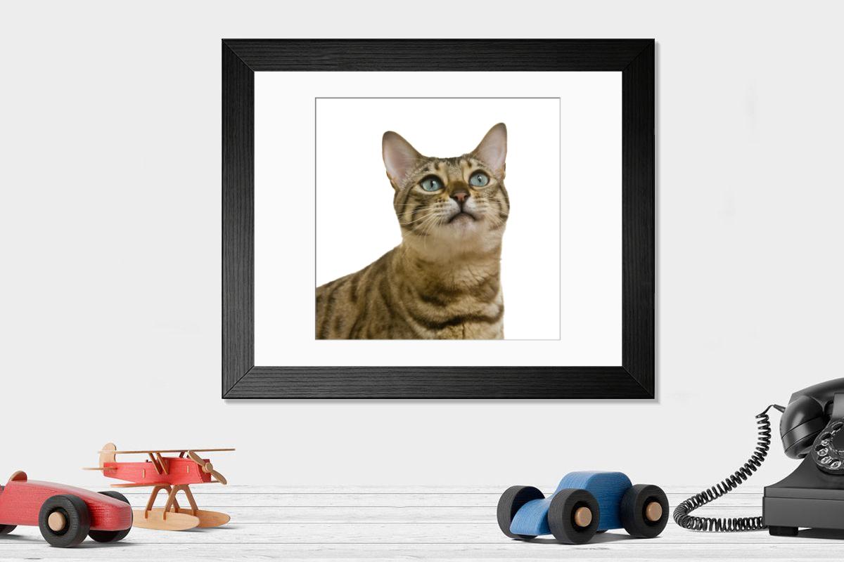 Shown hanging in a room: Modern 14"x12" (36x31cm)